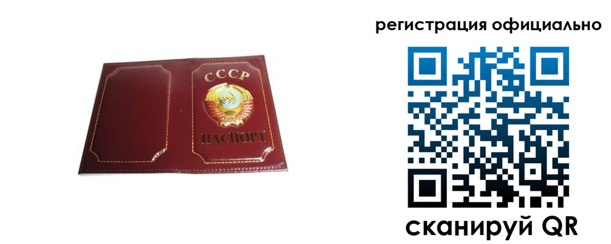 прописка в Сольцах