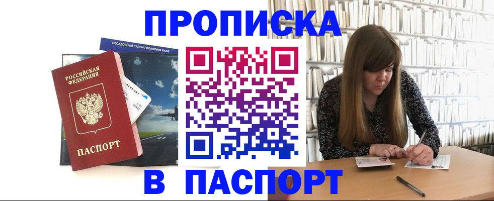 прописка поиск в Сольцах